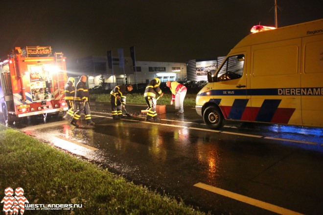 Drie ganzen overleden bij ongeluk Burgemeester Elsenweg