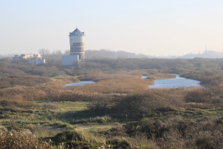 Westlandse duinen genomineerd voor titel ‘Mooiste Natuurgebied van Nederland’