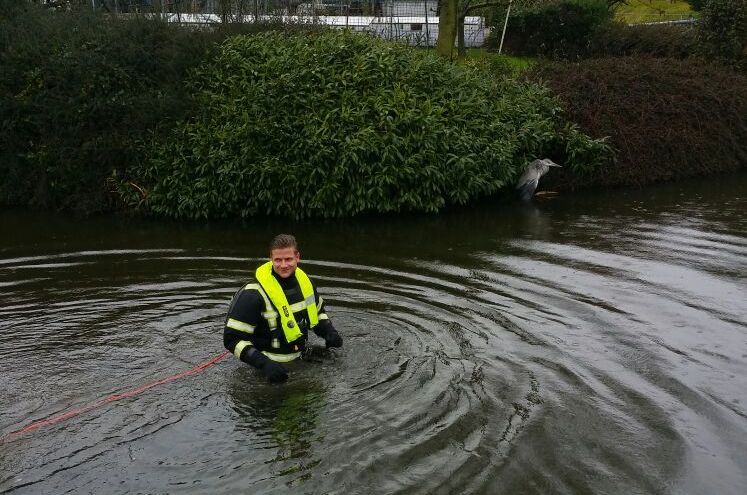 Reiger gewond na aanrijding Monsterseweg