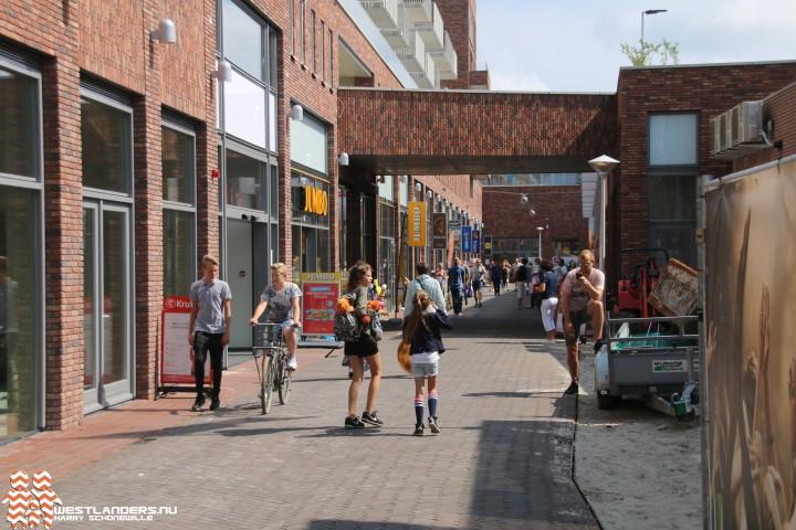 Collegevragen inzake invalidenparkeerplaatsen in ’s-Gravenzande