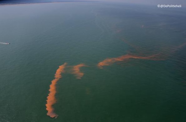 Noctiluca Scintillans waarschijnlijk veroorzaker verkleurd zeewater