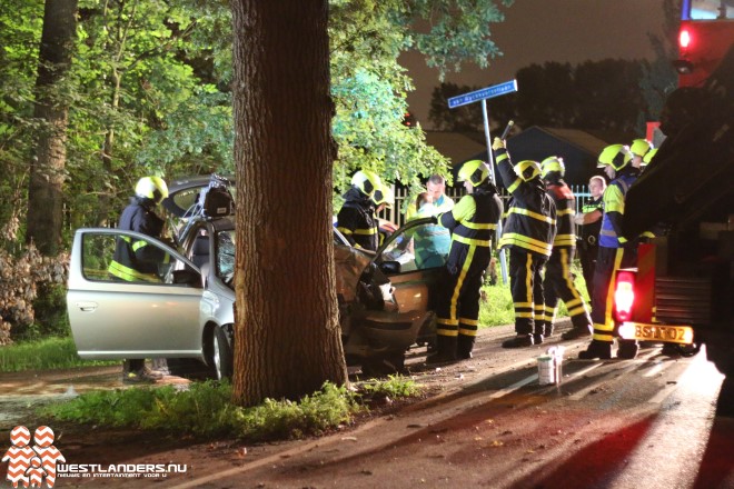 Bestuurder gewond na botsing met auto tegen boom