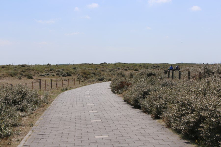 Veelvuldig gebruik fietspaden bij Monster en Ter Heijde door auto’s