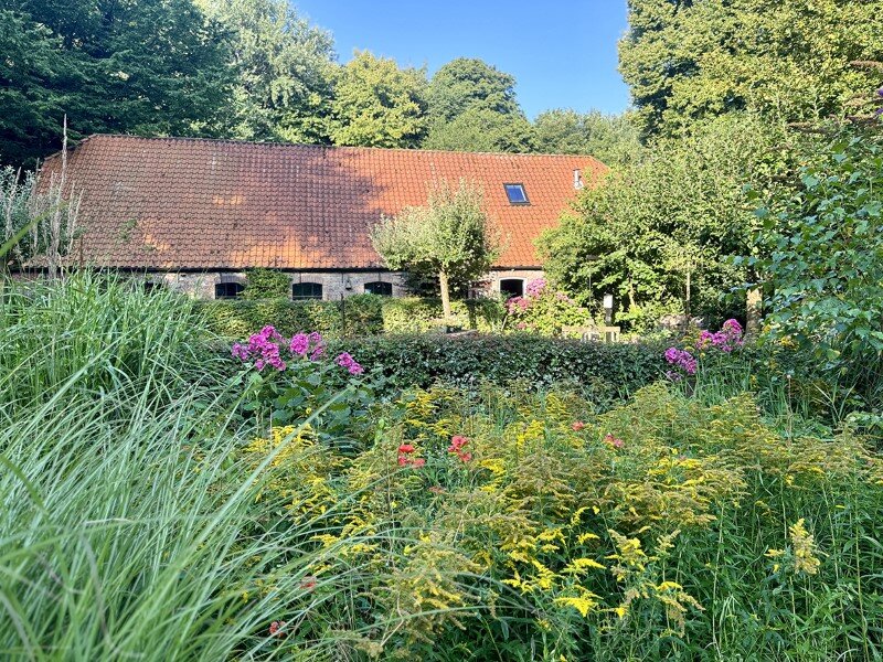 Zomerwandeling in het Staelduinse Bos op 22 juni