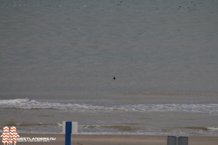 Zwarte driehoek boven water in zee