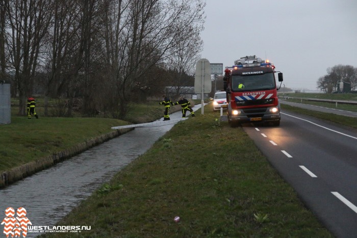 Dier te water langs de Veilingroute