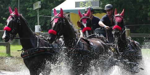 Westland Verstandig wil serieus alternatief voor manege De Dijkgraaf