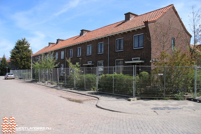 Vleermuizen houden huizensloop in Oranjewijk tegen!