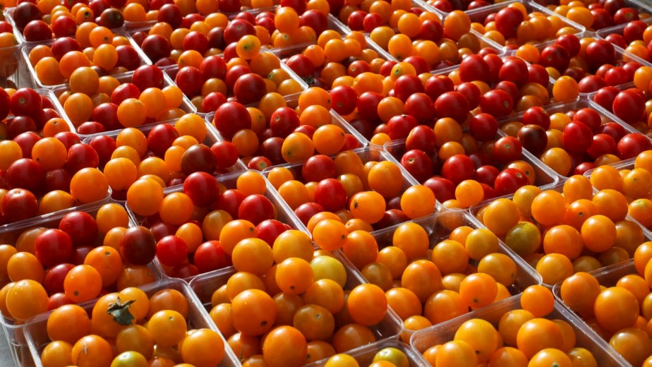 Gratis 6 miljoen snacktomaten dankzij hete weer