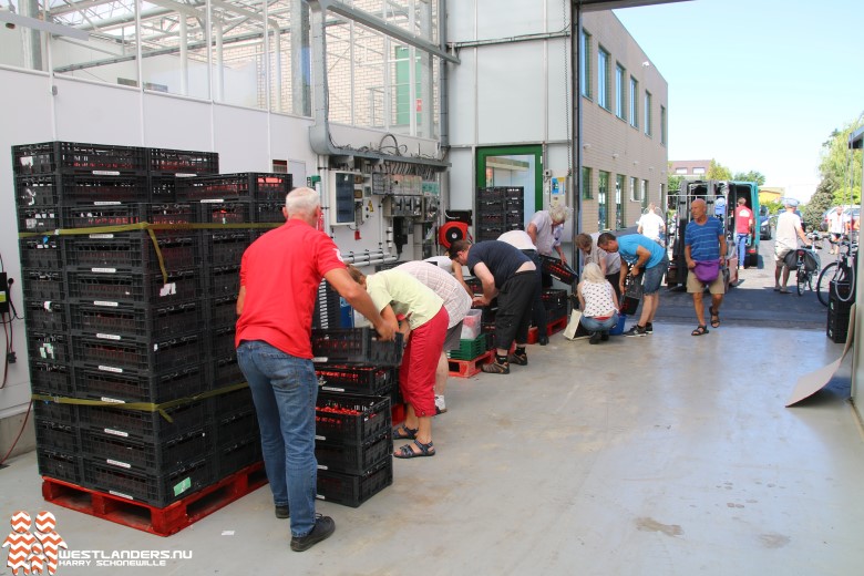 Gratis snoeptomaten binnen enkele uur afgehaald