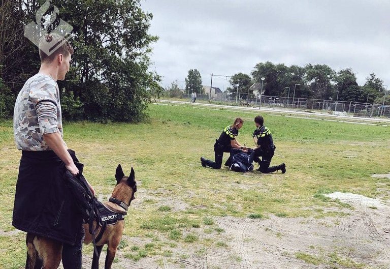 Roemeense inbreker opgepakt dankzij speurhond Avy