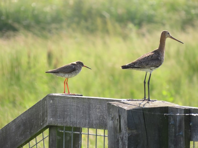 Wat is jouw mooiste natuurfoto uit 2019?