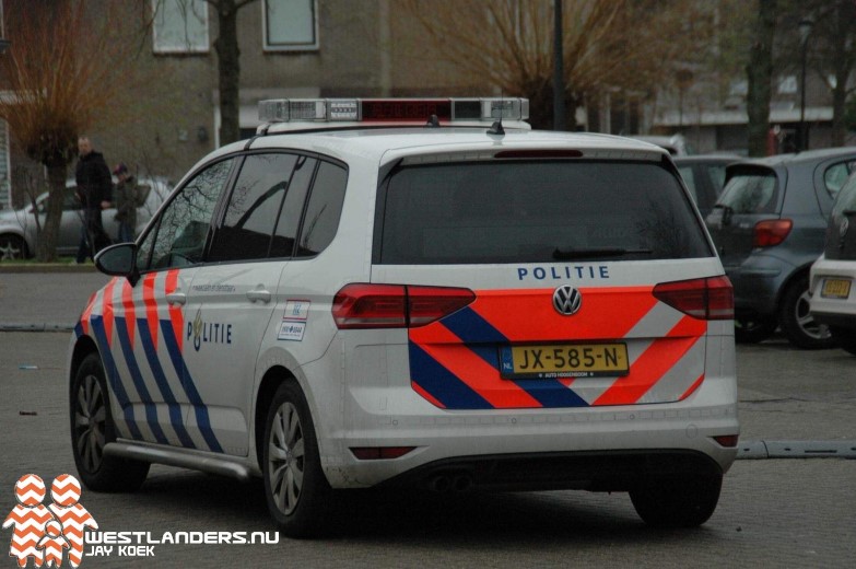 Vijf aanhoudingen bij sinterklaasintocht in Den Haag