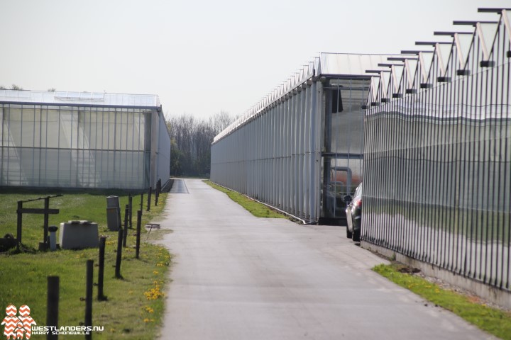 Weerbare planten en teeltsystemen essentieel voor toekomst gewasbescherming