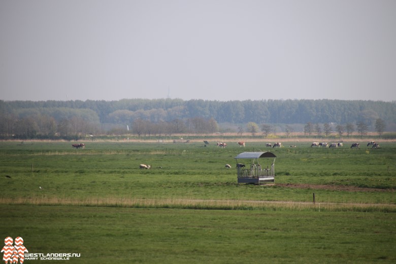 Hoogheemraadschap wil van gascontract af