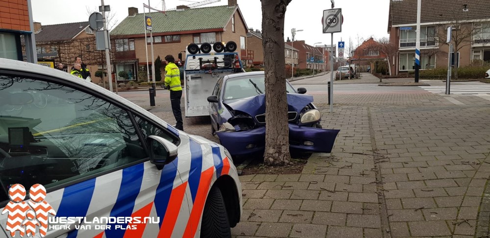 Auto tegen boom geparkeerd