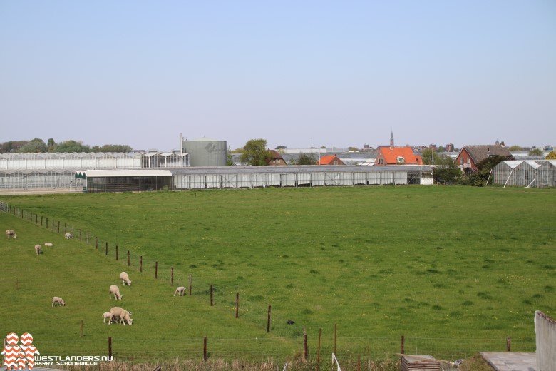 Tuinbouw getroffen door wetswijziging energiebelasting