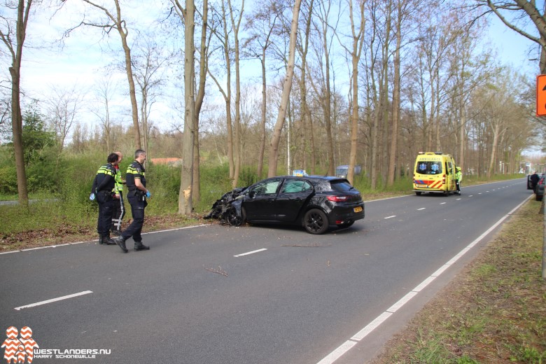 Automobilist gewond na botsing tegen boom