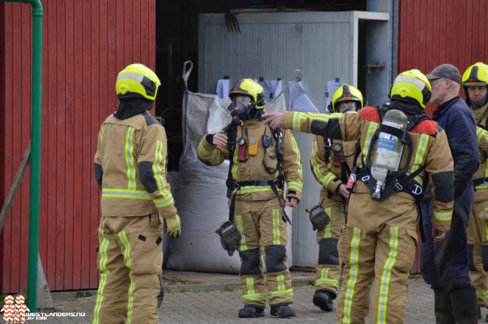 Drie koeien overleden door giftig gas