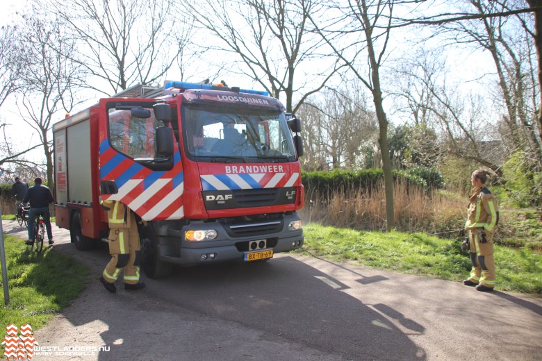 Brandweer in actie voor verstopte hond