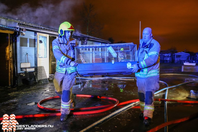 Toch kat overleden tijdens brand kinderboerderij