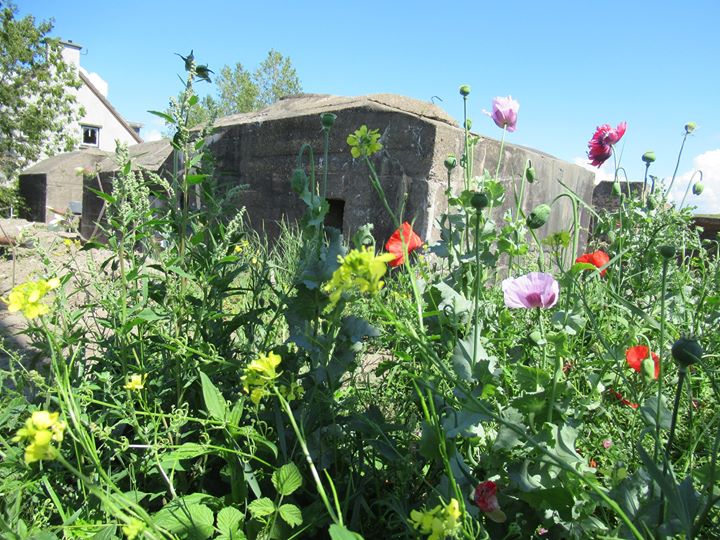 Nieuwe bunkerlocatie nog niet toegankelijk