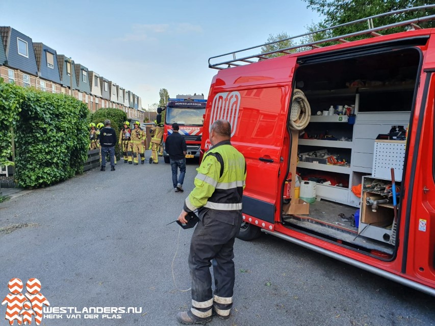 Vreemde luchten in Honselersdijk