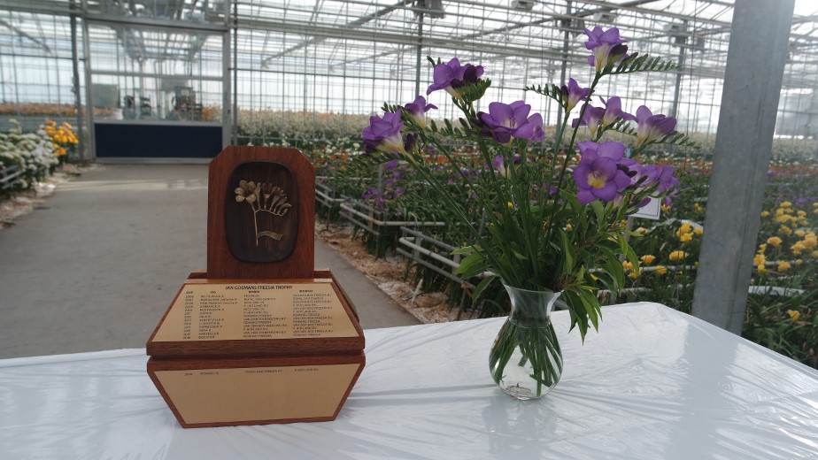 ‘Blue Velvet’ winnaar freesia trophy 2020