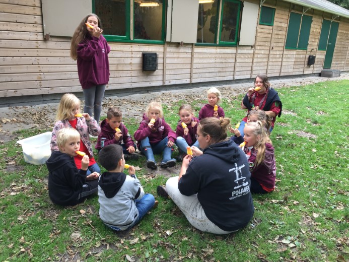 Scouting Polanen gaat weer als een raket