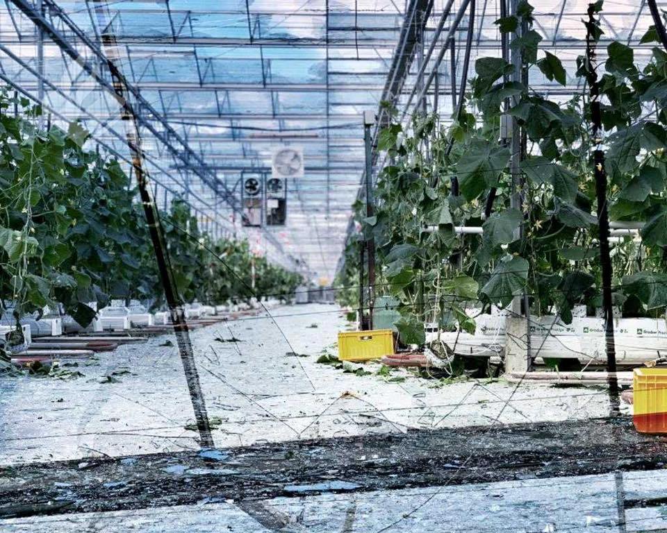 Windhoos bij tuinbouwbedrijven in Tinte