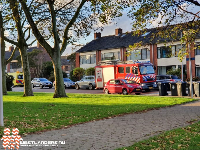 Inzet brandweer voor afhijsing