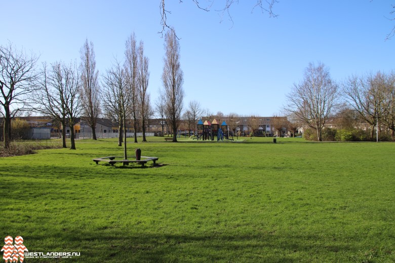 Collegevragen inzake calisthenics-freerunning in Dreespark