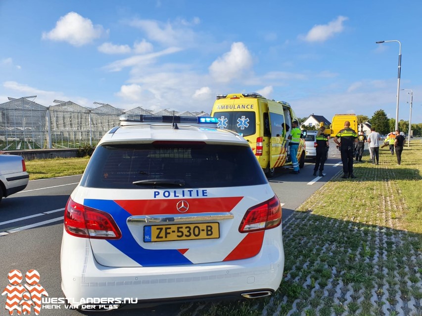 Gans veroorzaakt ongeluk op de Nieuweweg