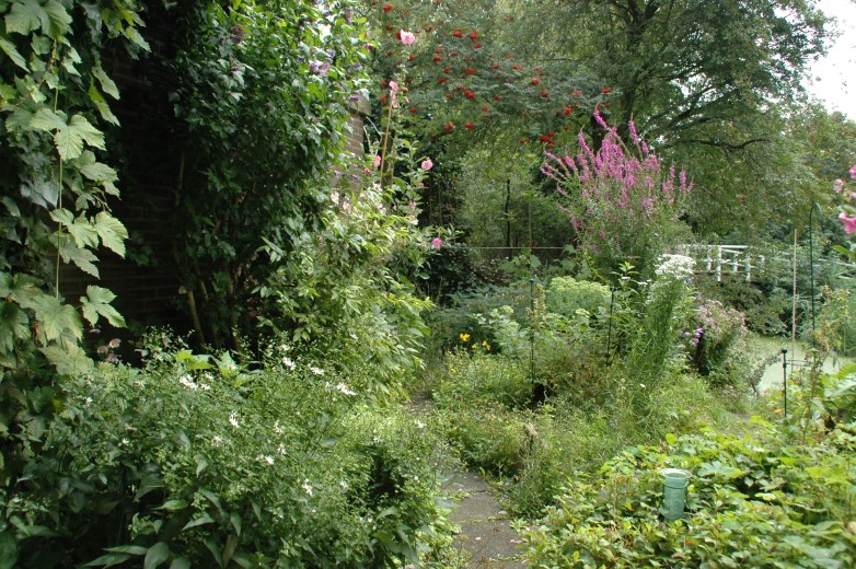 Natuurcafé Natuurrijke Tuin 6 april 2021 vanaf 10:00 uur