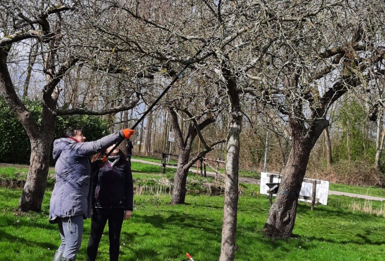 Maak kennis met de boomgaard Buitenplaats Vlaardingen, met picknick!