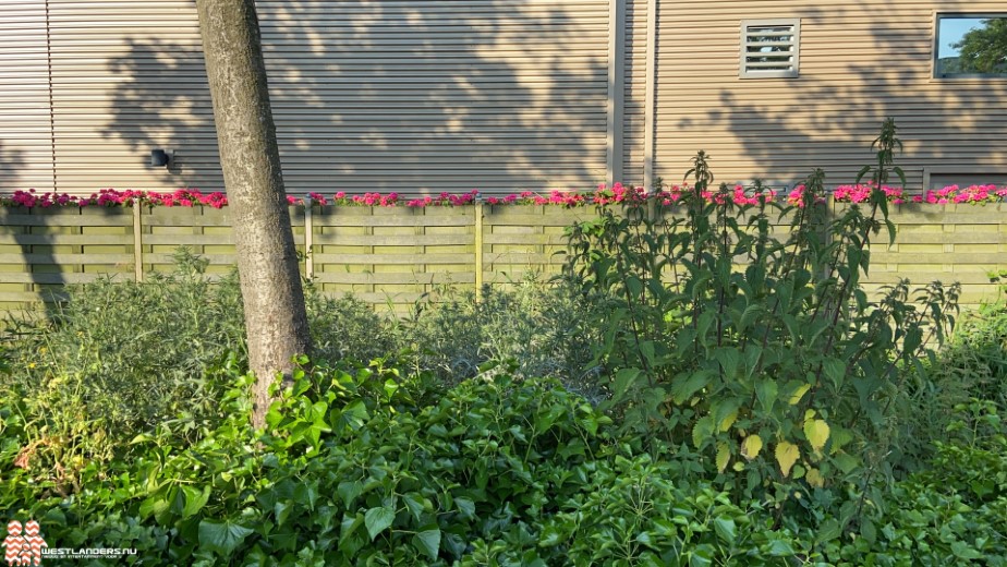 Het blijft klachten regenen over groenonderhoud!