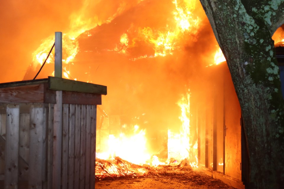 Jeugddetentie voor brandstichters Plaswijckpark