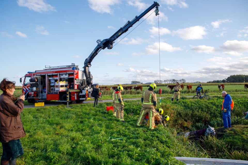 Brandweer zet alles op alles om paard uit sloot te halen