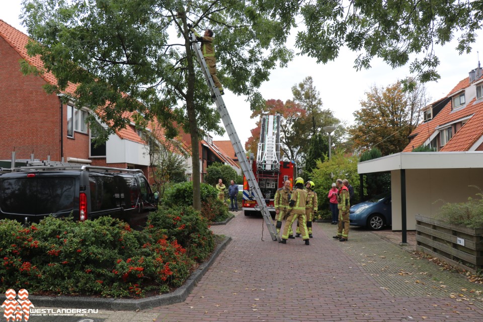 Brandweer in actie voor dieren op hoogte