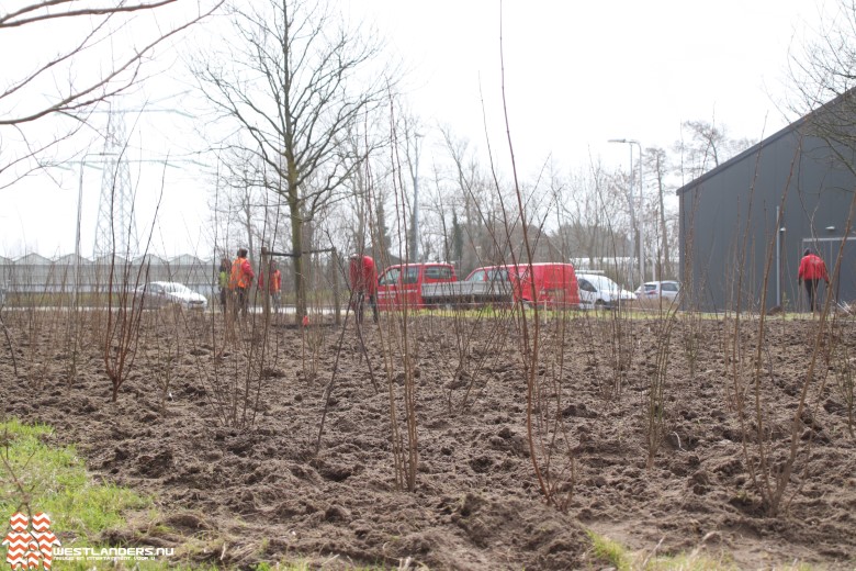 Start compensatie voor bomenkap  Schefferkamp