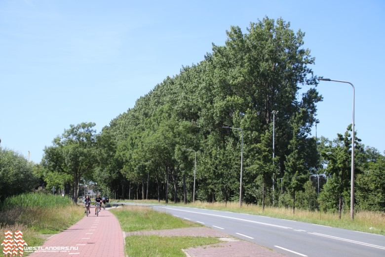 Collegevragen inzake vergroenen dorpscentra