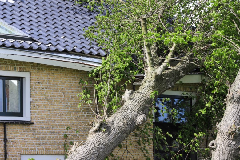 Recordaantal meldingen van schade aan daken na storm Eunice