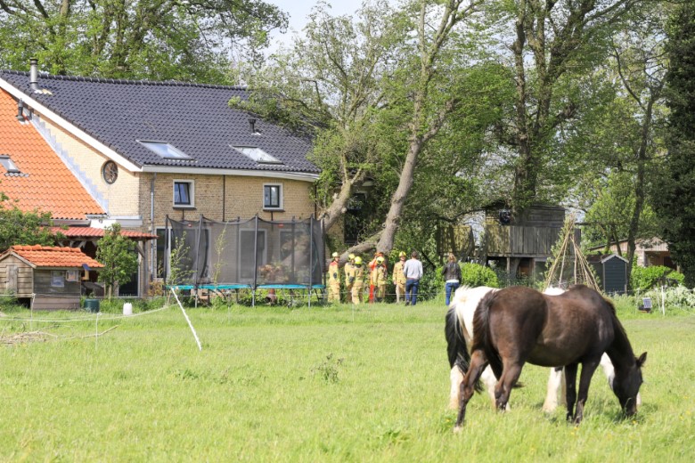 Grote boom valt op boerderijwoning