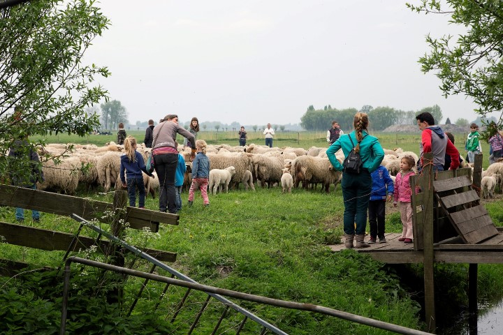 Lammetjesdag op 2e paasdag