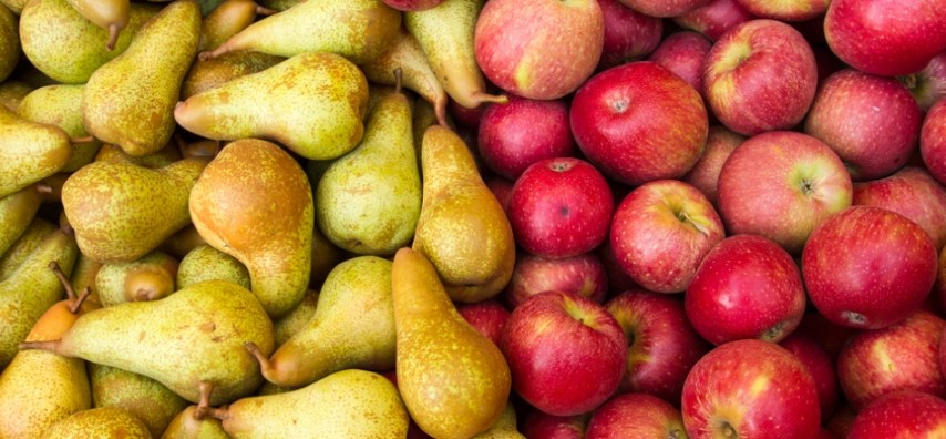 Goede oogst appels en peren verwacht in Nederland