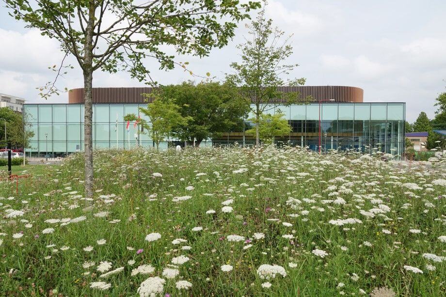 Natuur beleven in Westland; doe je mee!