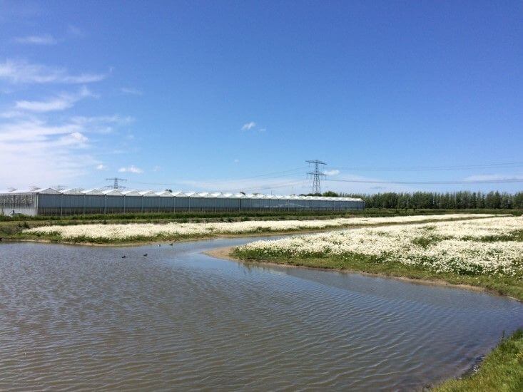 Oprichting Natuurlijk Westland