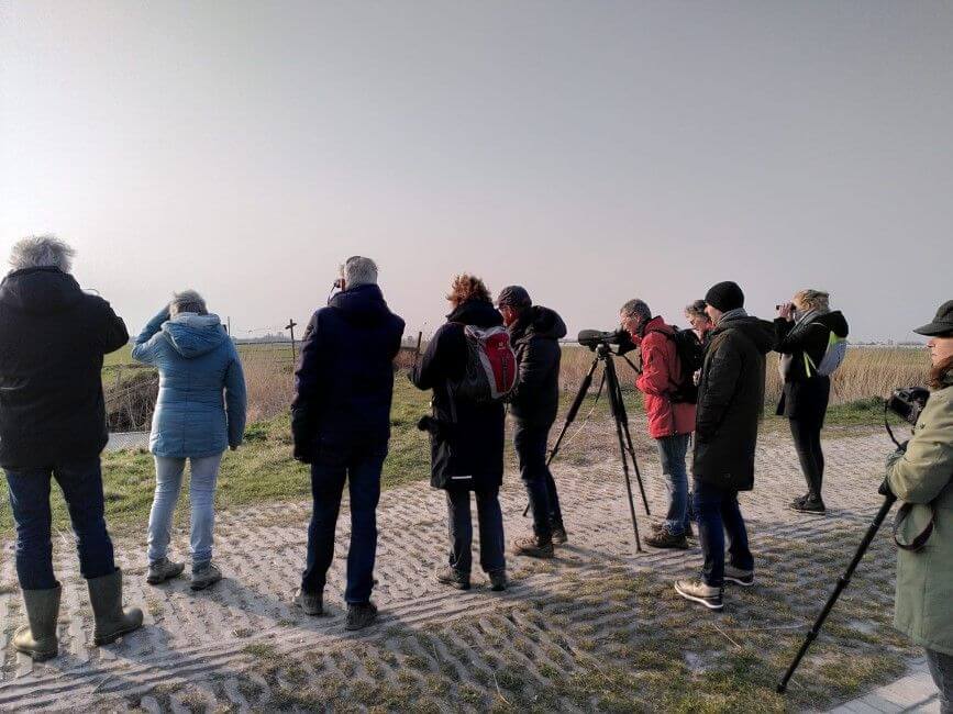 Kluten kijken in het Kraaiennest