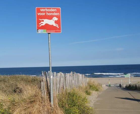 Collegevragen inzake honden uitlaten op strandslagen