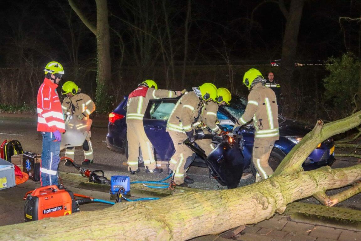 Boom valt op rijdende auto